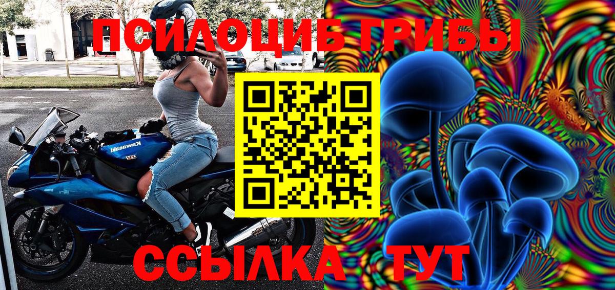 Галлюциногенные грибы Psilocybine cubensis  Вход с VPN  Великие Луки 